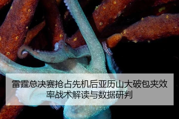 雷霆总决赛抢占先机后亚历山大破包夹效率战术解读与数据研判